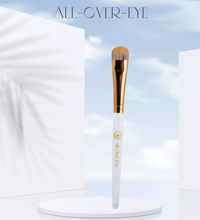 All-over-eye Brush